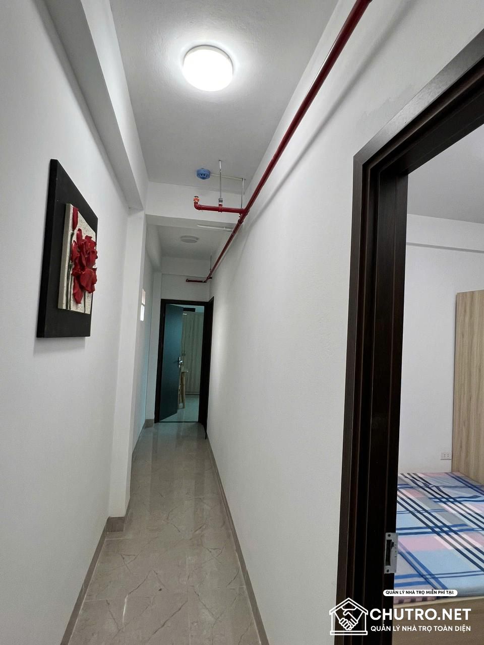 Ảnh phòng 504